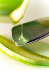 Aloe vera gel