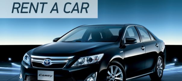 rent a car, car rentals